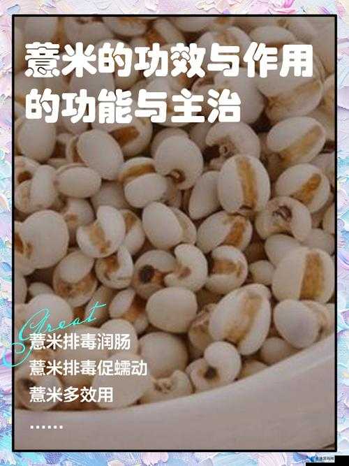 江南百景图游戏中薏米的具体作用及使用方法全面解析