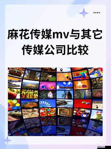 麻花传媒 MV 与其它传媒公司比较之优劣分析及特点探讨